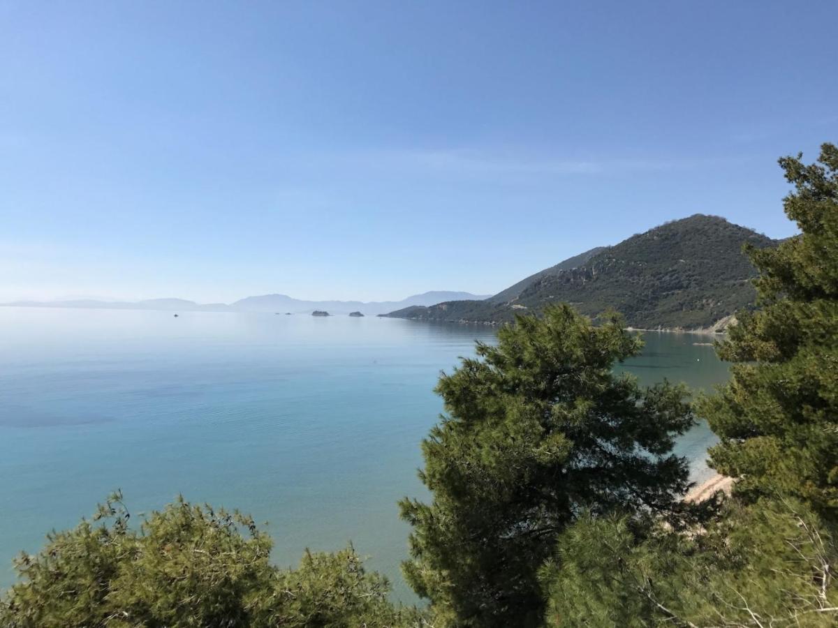 Arion Seaside Suites Palairos Bagian luar foto